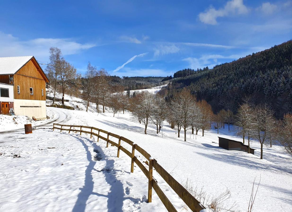 Ferienhaus Grimme - 350M2, 18 Betten - Mit Indoorspielplatz, Pool, Grosser Terrasse, Grill, Sauna, Kicker, Dart, Uvm - Ideal Fuer Familien Schmallenberg Buitenkant foto