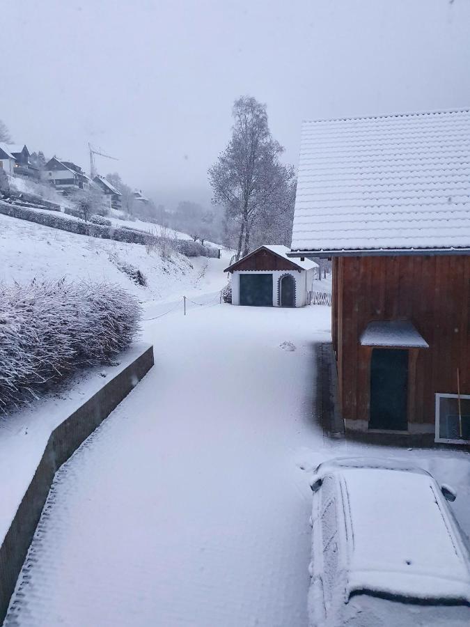 Ferienhaus Grimme - 350M2, 18 Betten - Mit Indoorspielplatz, Pool, Grosser Terrasse, Grill, Sauna, Kicker, Dart, Uvm - Ideal Fuer Familien Schmallenberg Buitenkant foto