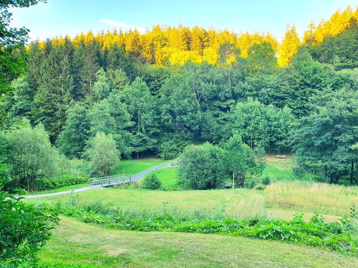 Ferienhaus Grimme - 350M2, 18 Betten - Mit Indoorspielplatz, Pool, Grosser Terrasse, Grill, Sauna, Kicker, Dart, Uvm - Ideal Fuer Familien Schmallenberg Buitenkant foto