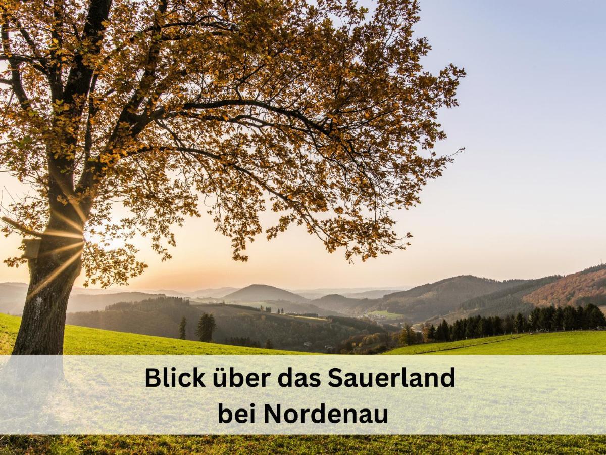 Ferienhaus Grimme - 350M2, 18 Betten - Mit Indoorspielplatz, Pool, Grosser Terrasse, Grill, Sauna, Kicker, Dart, Uvm - Ideal Fuer Familien Schmallenberg Buitenkant foto