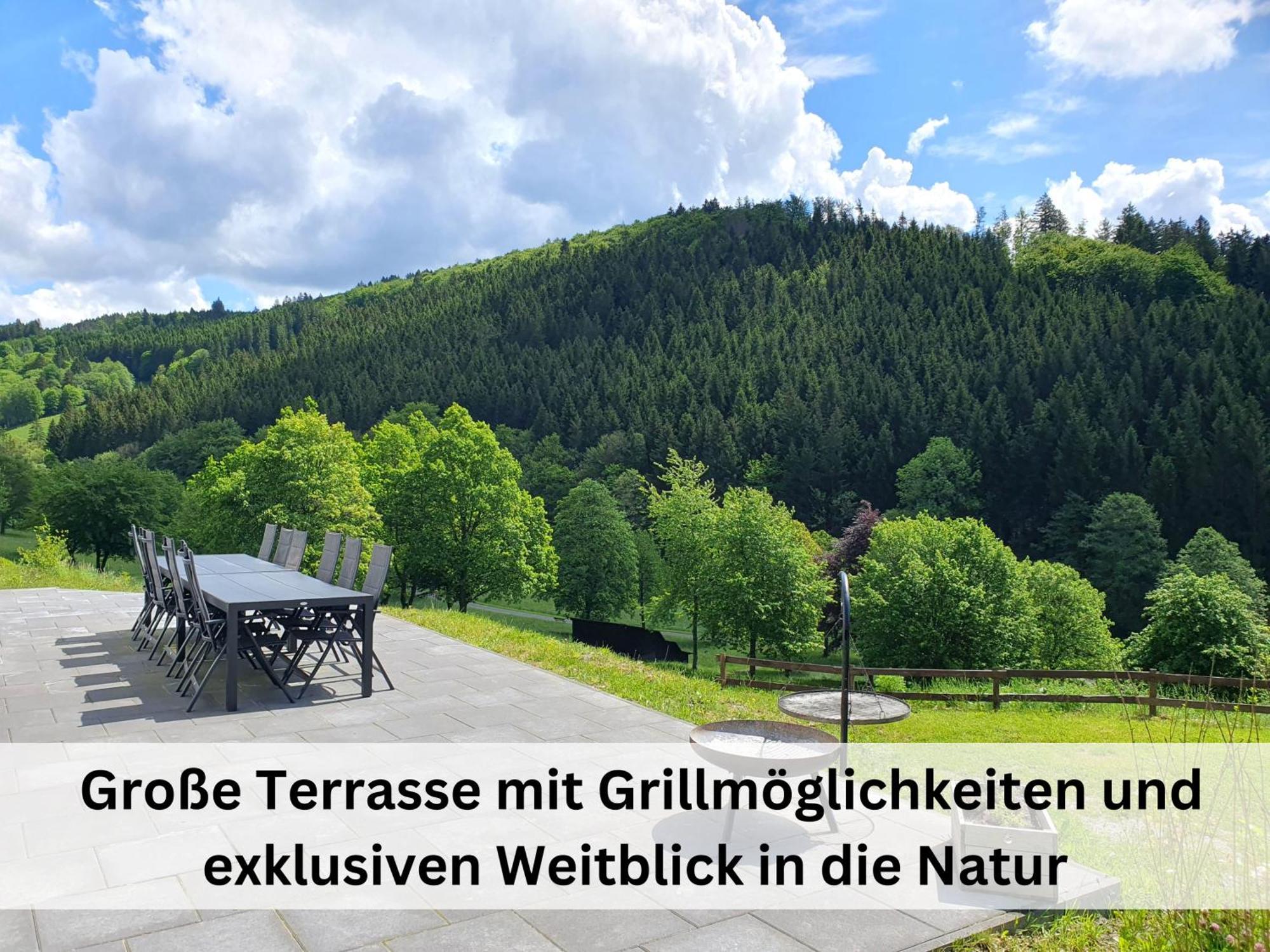 Ferienhaus Grimme - 350M2, 18 Betten - Mit Indoorspielplatz, Pool, Grosser Terrasse, Grill, Sauna, Kicker, Dart, Uvm - Ideal Fuer Familien Schmallenberg Buitenkant foto