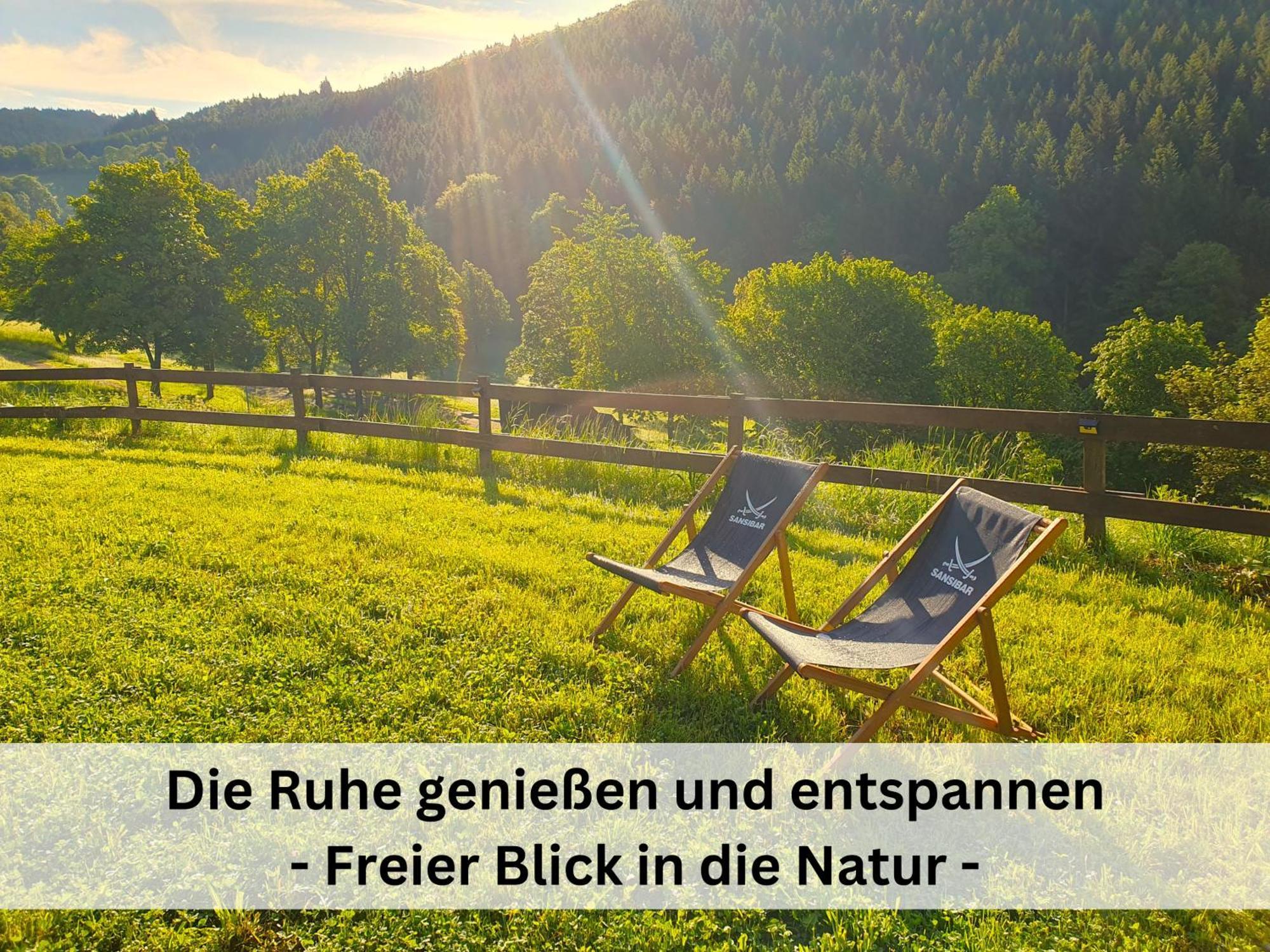 Ferienhaus Grimme - 350M2, 18 Betten - Mit Indoorspielplatz, Pool, Grosser Terrasse, Grill, Sauna, Kicker, Dart, Uvm - Ideal Fuer Familien Schmallenberg Buitenkant foto