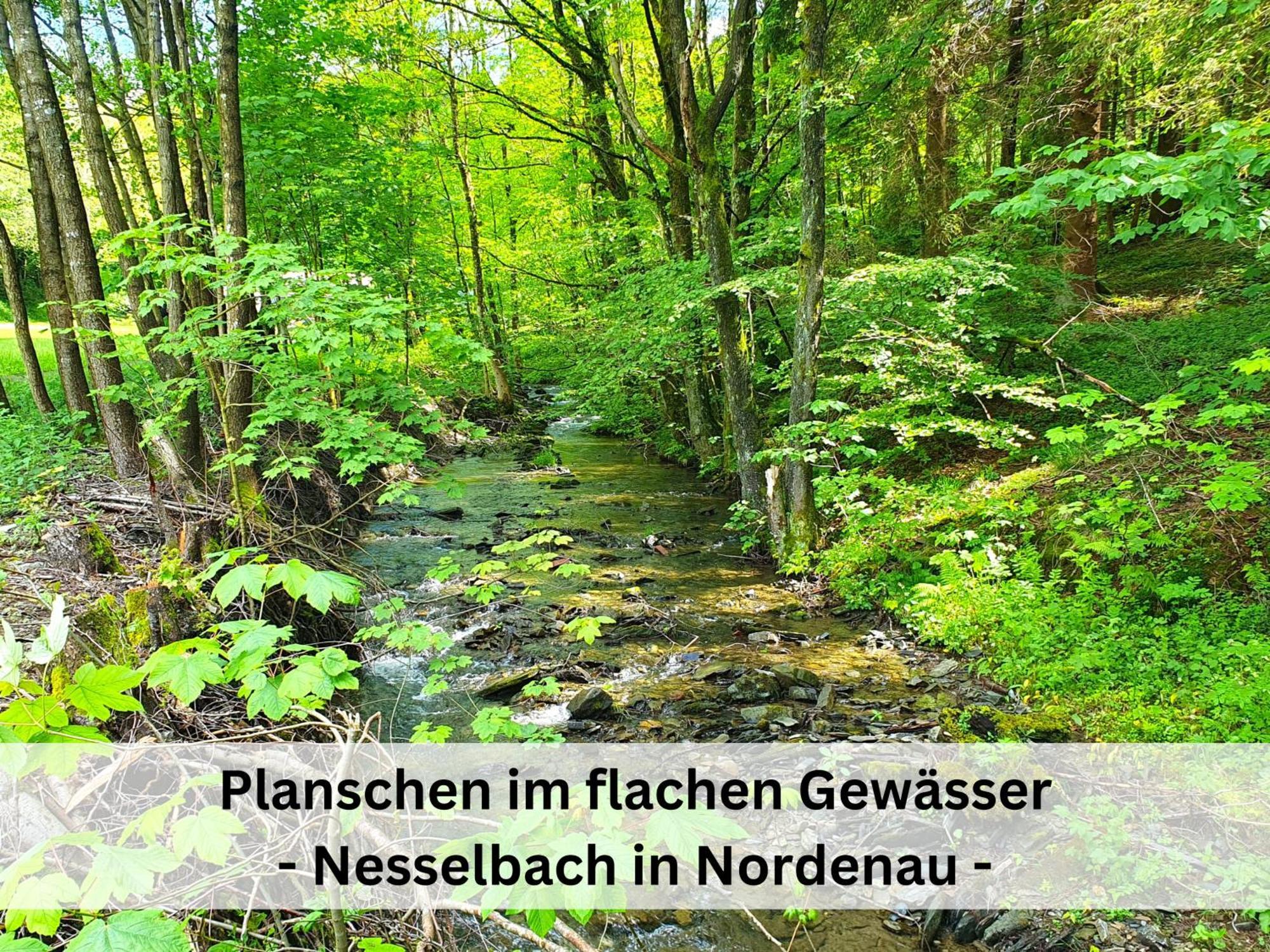 Ferienhaus Grimme - 350M2, 18 Betten - Mit Indoorspielplatz, Pool, Grosser Terrasse, Grill, Sauna, Kicker, Dart, Uvm - Ideal Fuer Familien Schmallenberg Buitenkant foto
